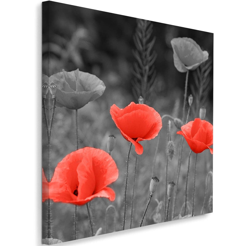 Kanva - Poppies In The Meadow  Home Trends DECO