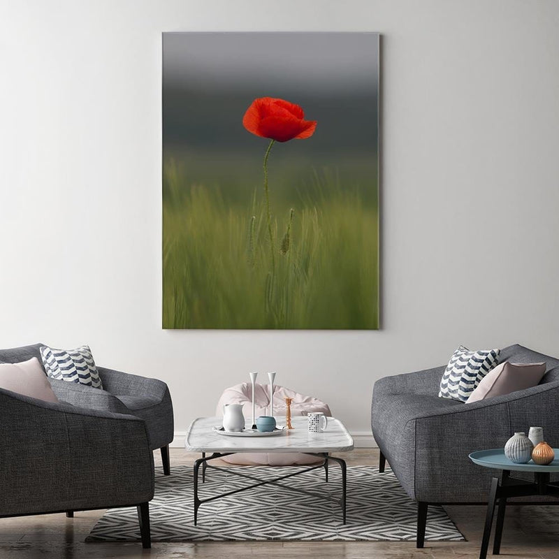 Kanva - Poppy In Half  Home Trends DECO