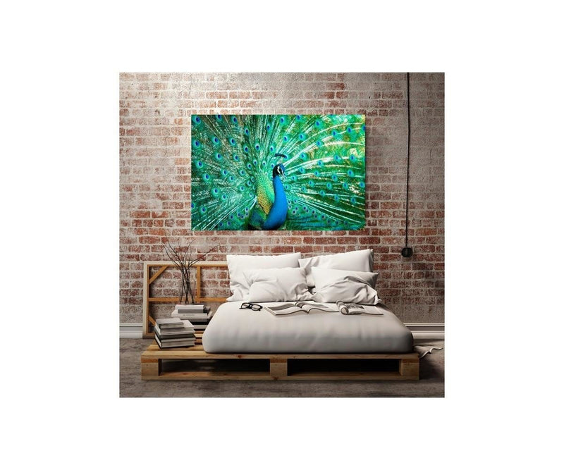 Kanva - Portrait Of A Peacock  Home Trends DECO