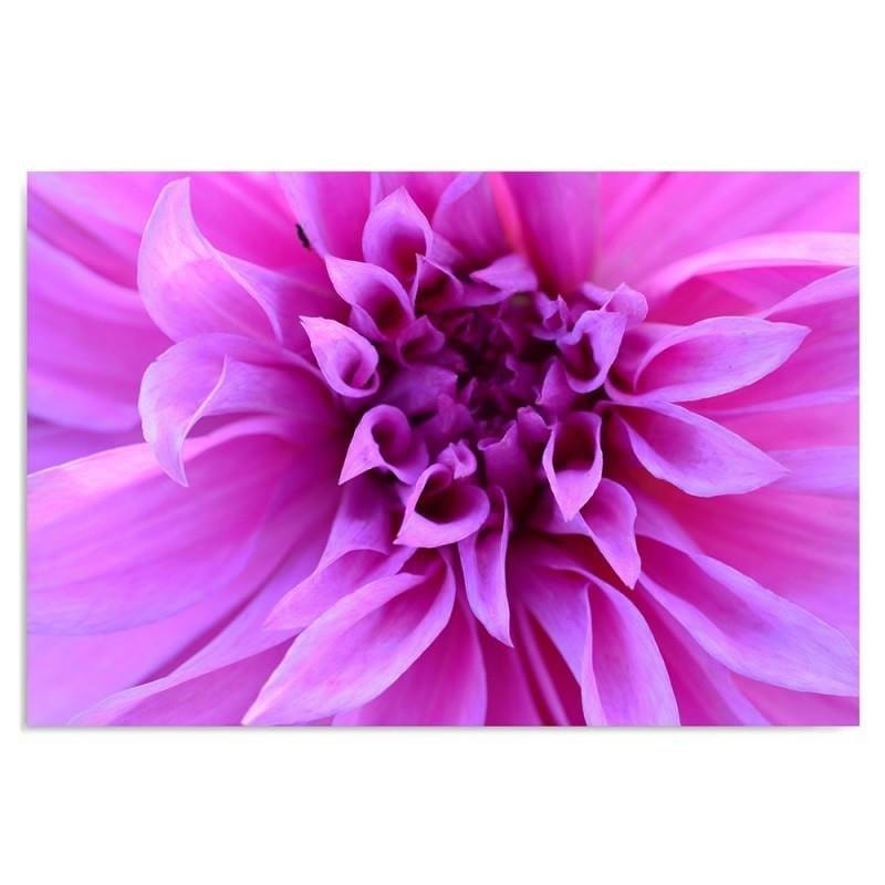 Kanva - Purple Flower  Home Trends DECO