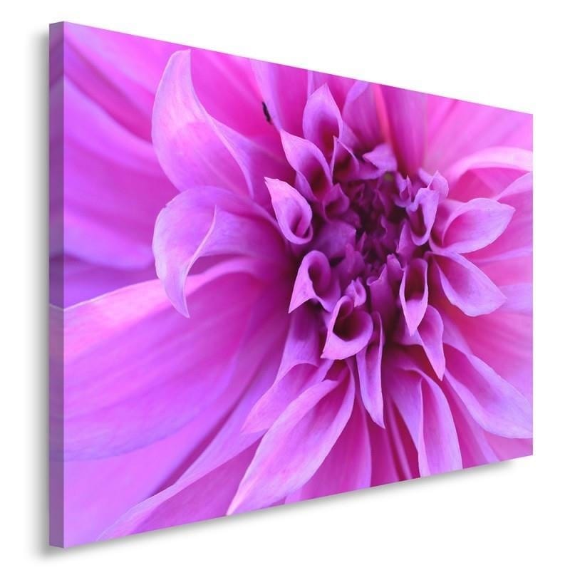 Kanva - Purple Flower  Home Trends DECO