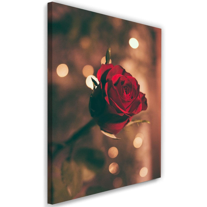 Kanva - Red Flower Roses  Home Trends DECO