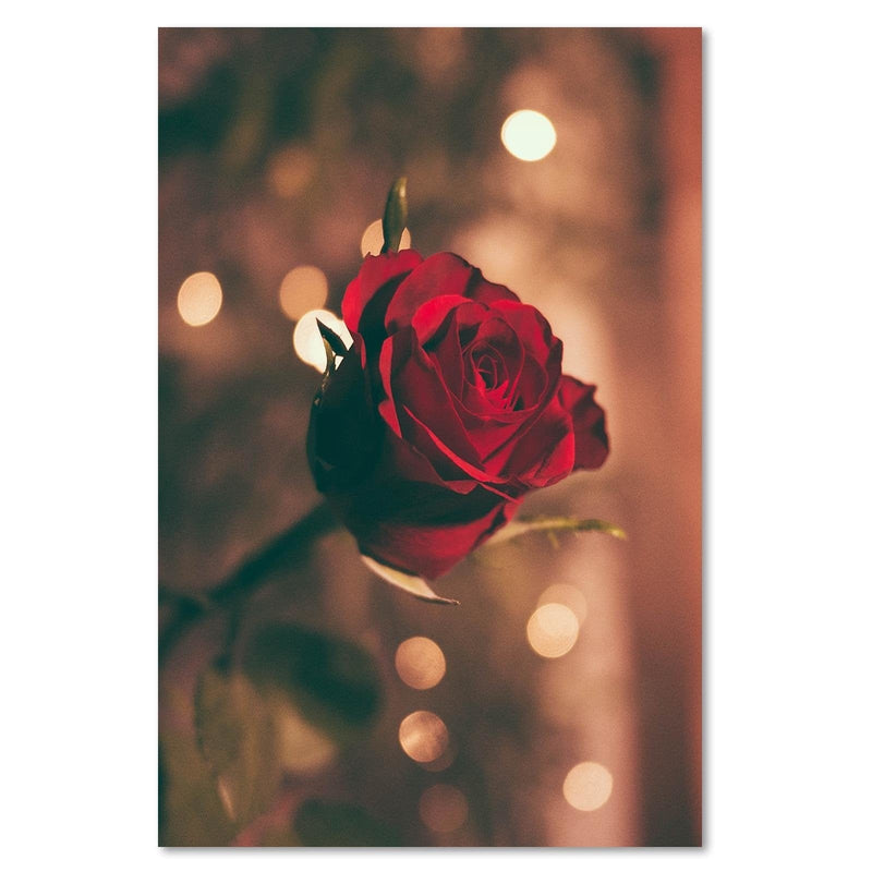 Kanva - Red Flower Roses  Home Trends DECO