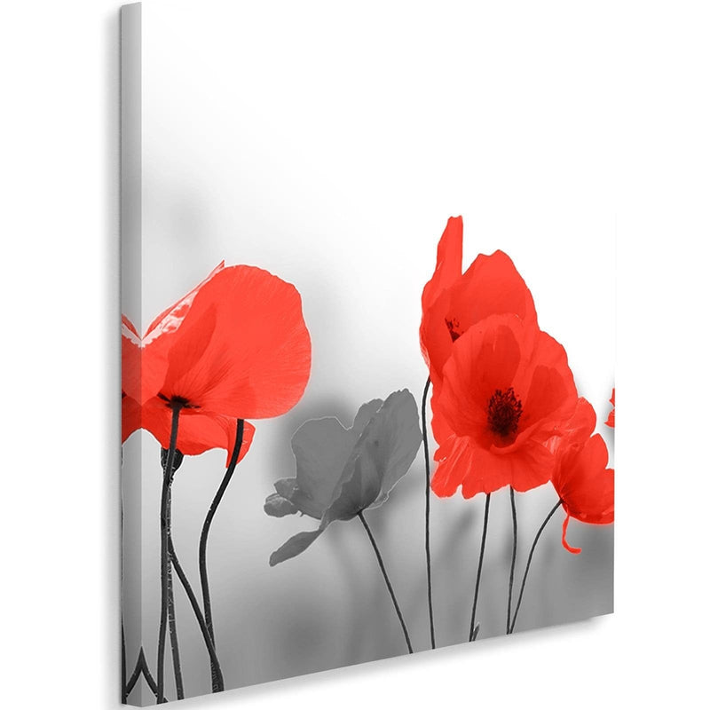 Kanva - Red Poppies In Gray  Home Trends DECO