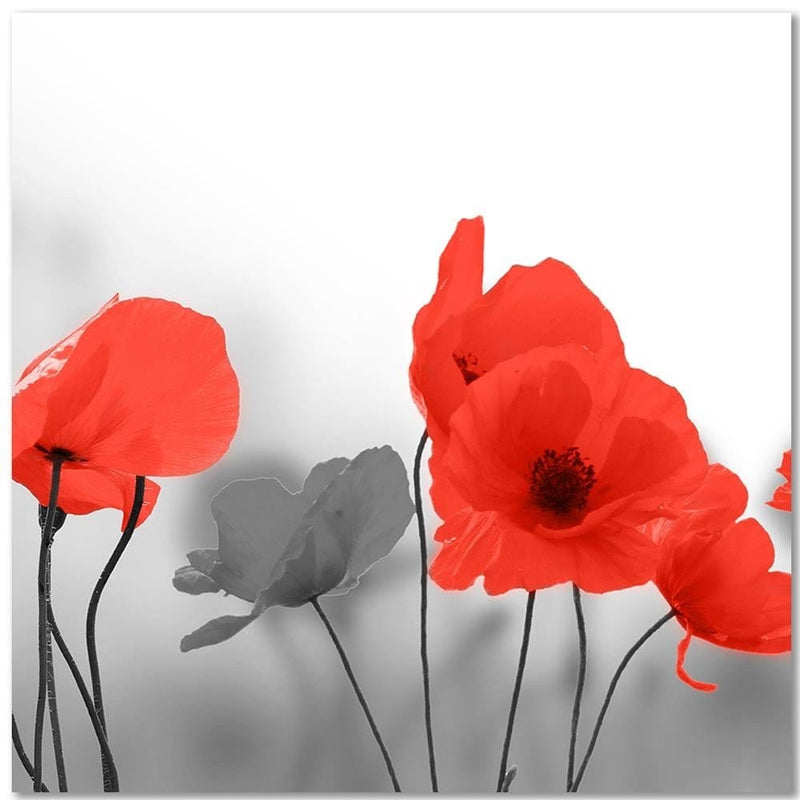 Kanva - Red Poppies In Gray  Home Trends DECO