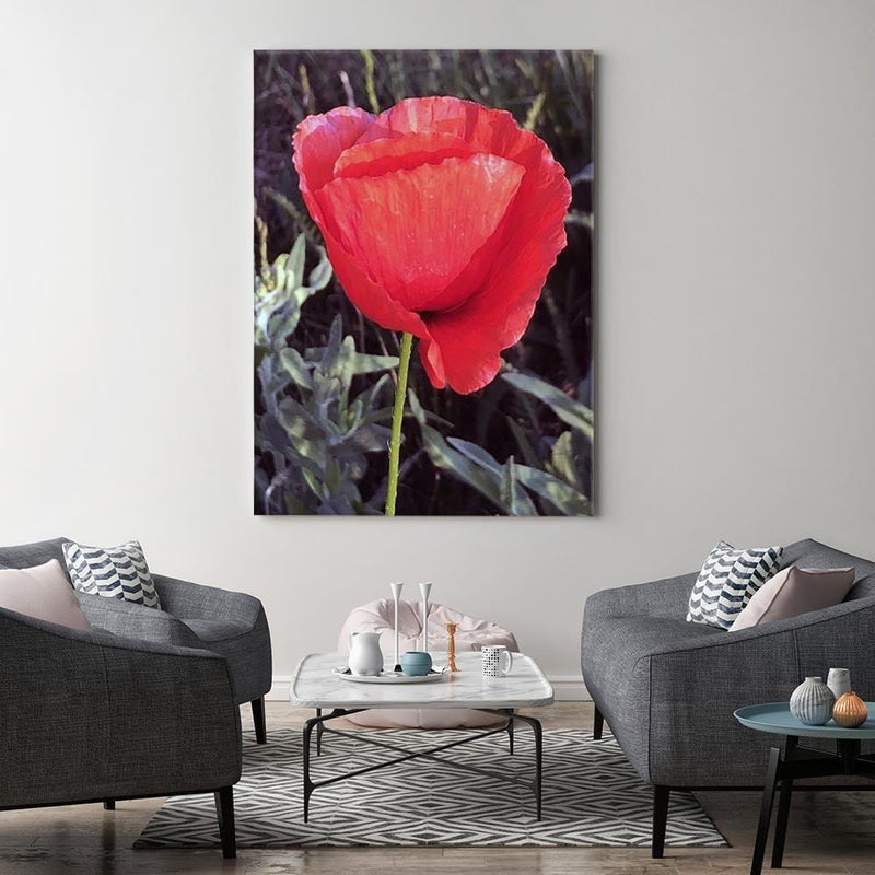 Kanva - Red Poppy  Home Trends DECO