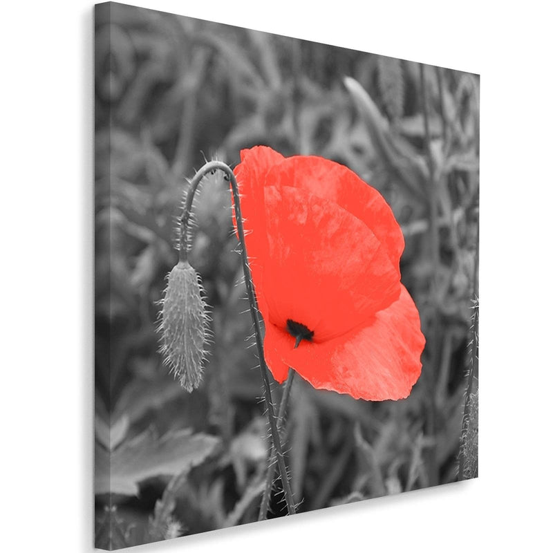 Kanva - Red Poppy In Gray  Home Trends DECO