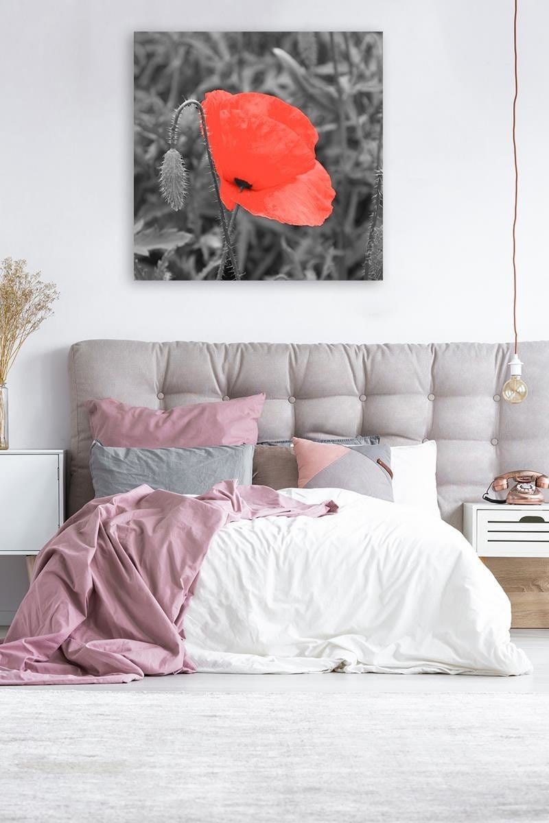 Kanva - Red Poppy In Gray  Home Trends DECO