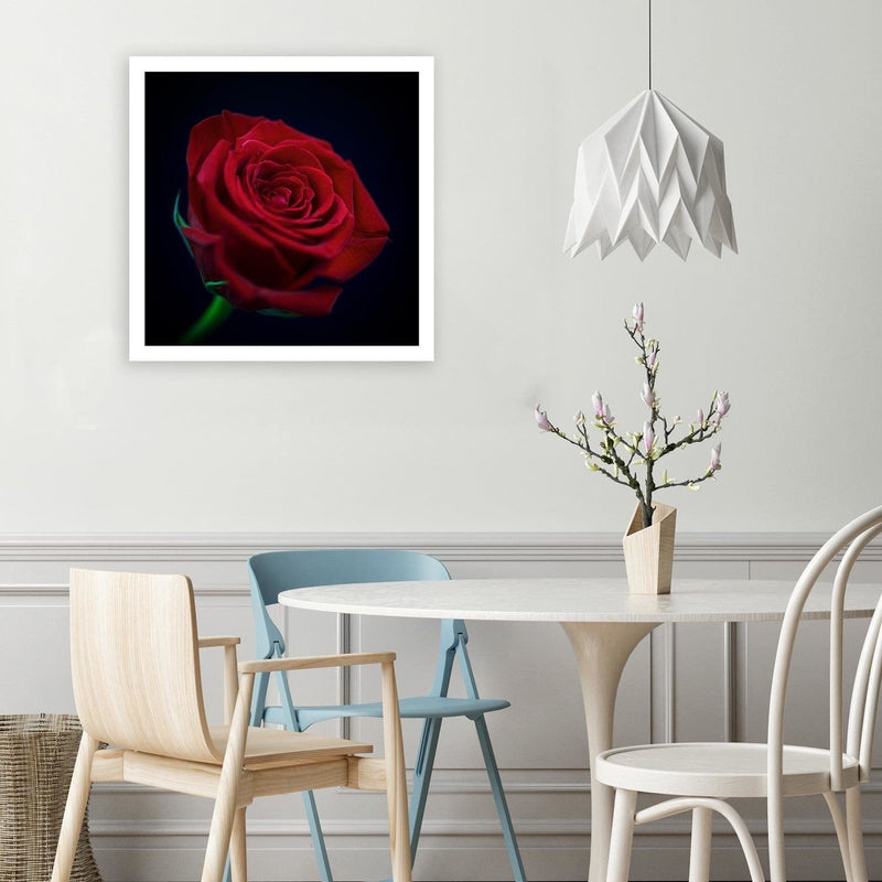 Kanva - Red Rose In The Dark  Home Trends DECO