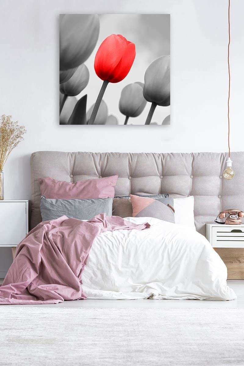 Kanva - Red Tulip In Gray  Home Trends DECO