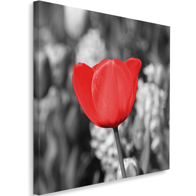 Kanva - Red Tulip On The Meadow  Home Trends DECO