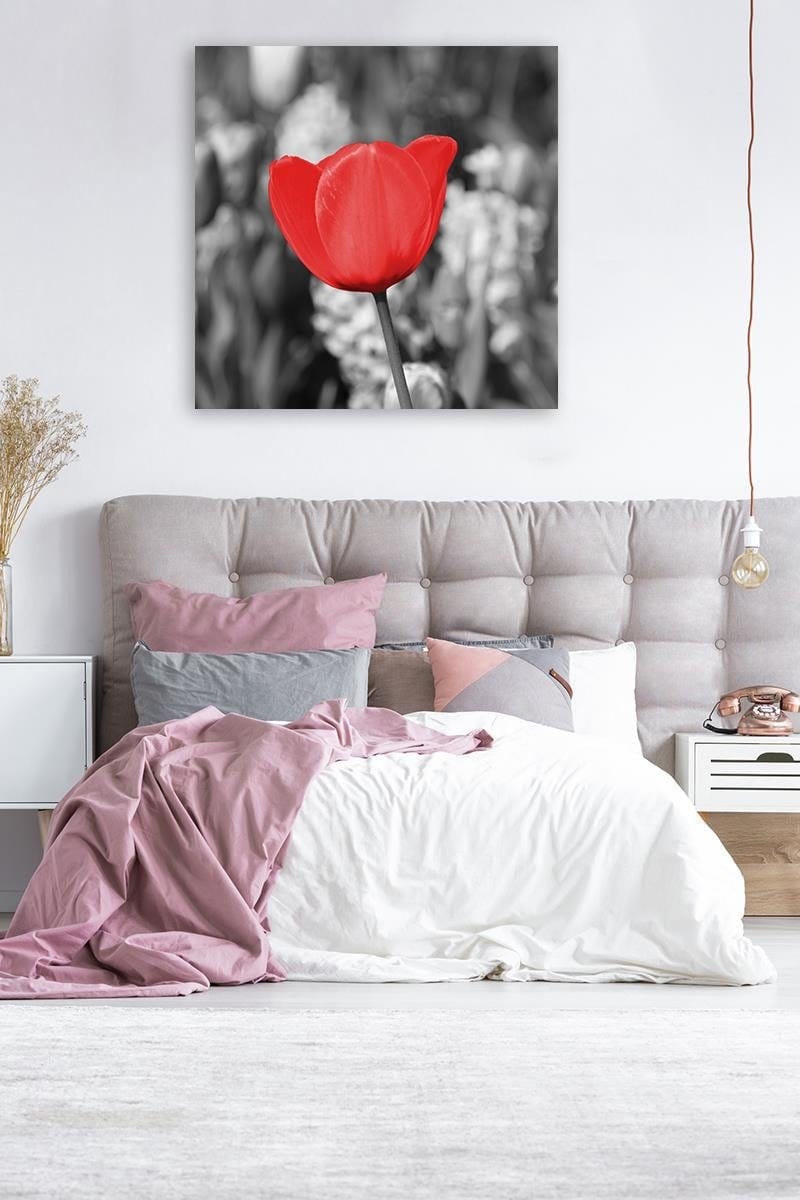 Kanva - Red Tulip On The Meadow  Home Trends DECO