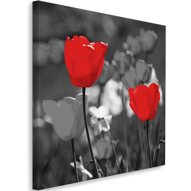 Kanva - Red Tulips In Gray  Home Trends DECO