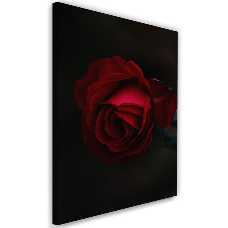 Kanva - Rose On A Black Background  Home Trends DECO