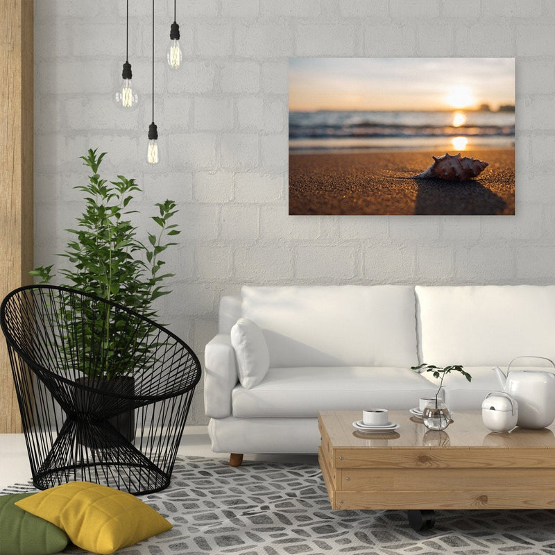 Kanva - Scallop On The Beach  Home Trends DECO