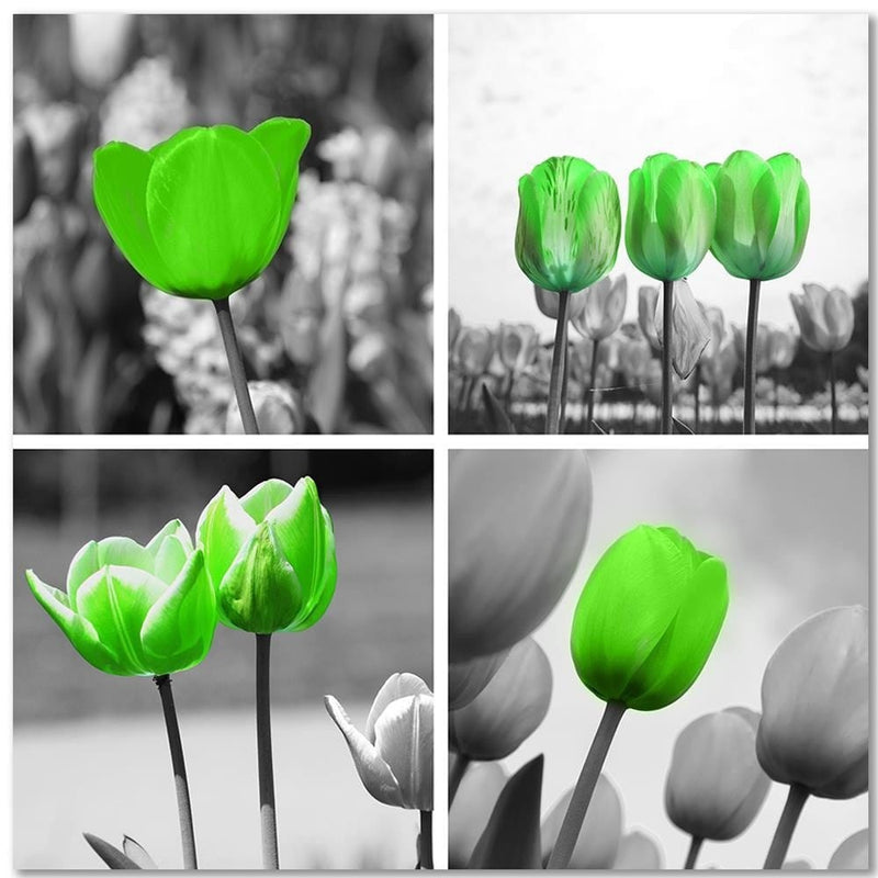 Kanva - Set Of Green Poppies  Home Trends DECO