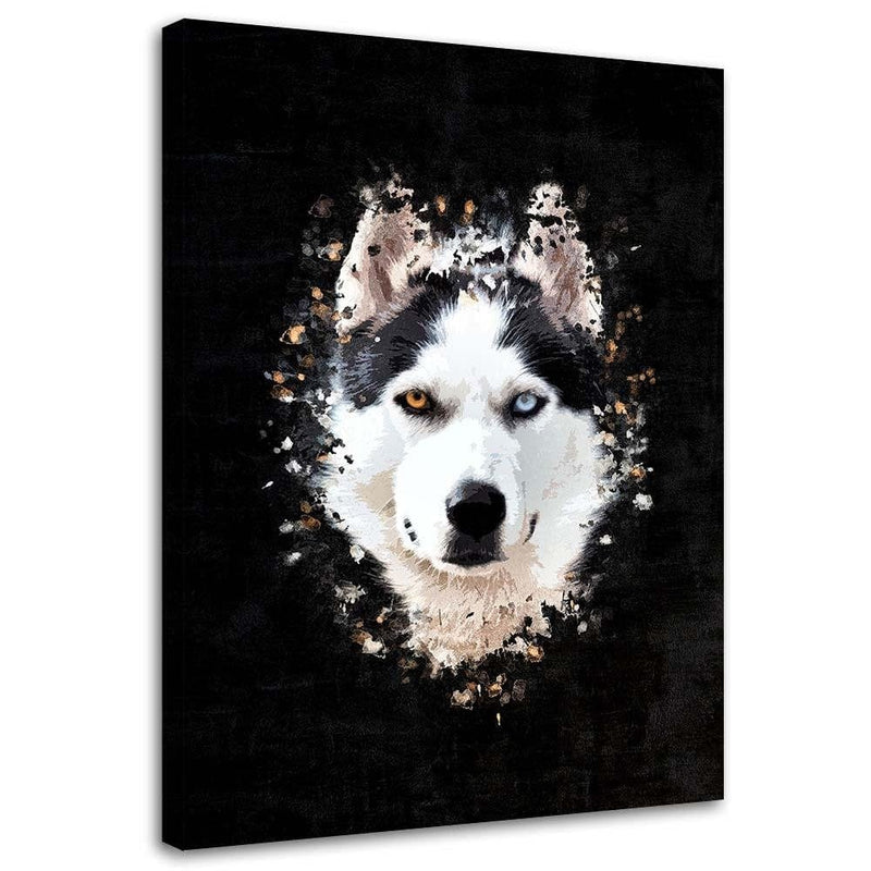 Kanva - Siberian Husky  Home Trends