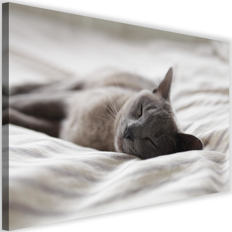 Kanva - Sleepy Cat  Home Trends DECO