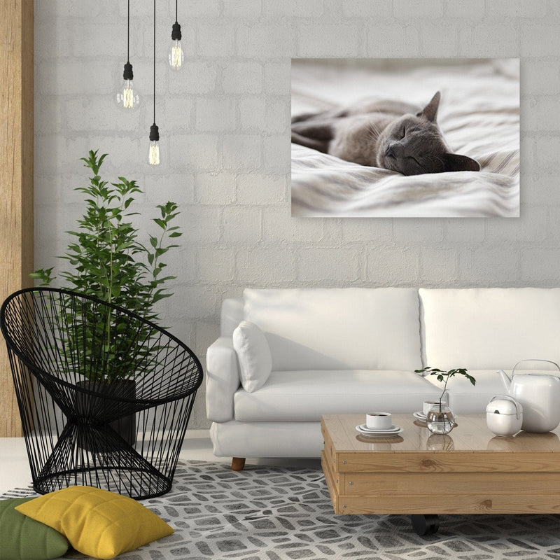 Kanva - Sleepy Cat  Home Trends DECO