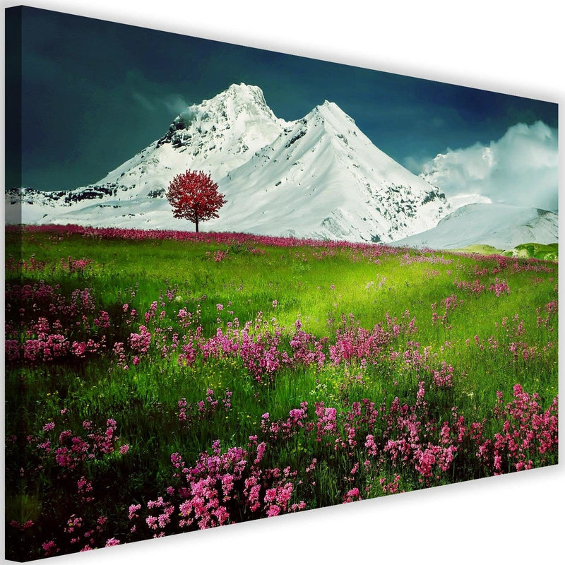 Kanva - Snowy Mountains And Colorful Meadow 3  Home Trends DECO