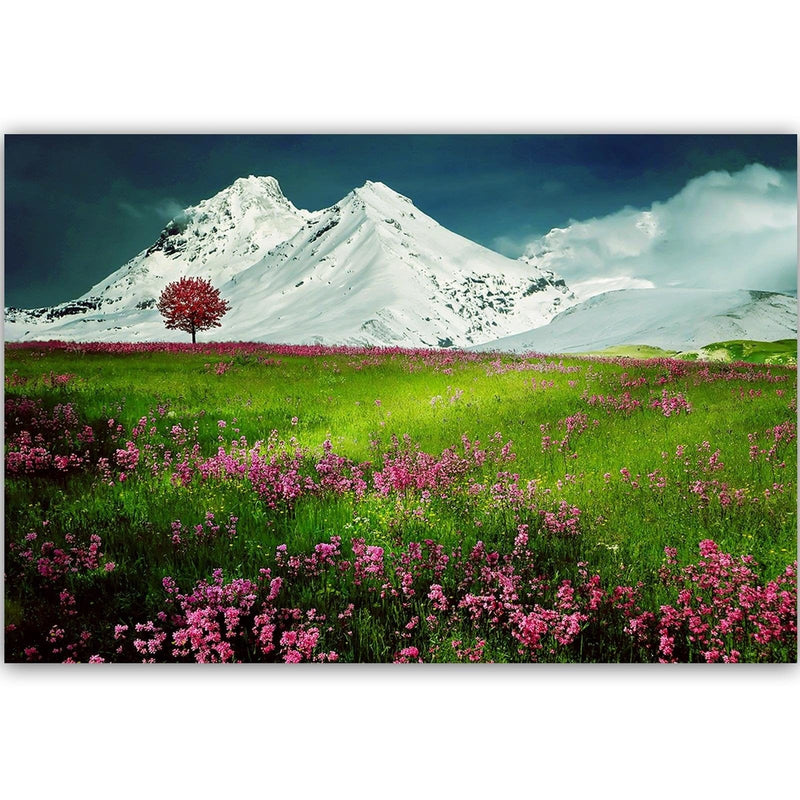 Kanva - Snowy Mountains And Colorful Meadow 3  Home Trends DECO