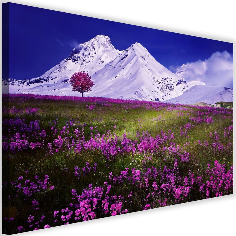 Kanva - Snowy Mountains And Colorful Meadow 4  Home Trends DECO