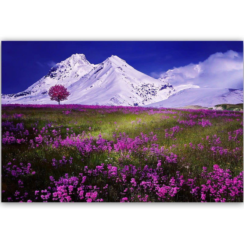 Kanva - Snowy Mountains And Colorful Meadow 4  Home Trends DECO