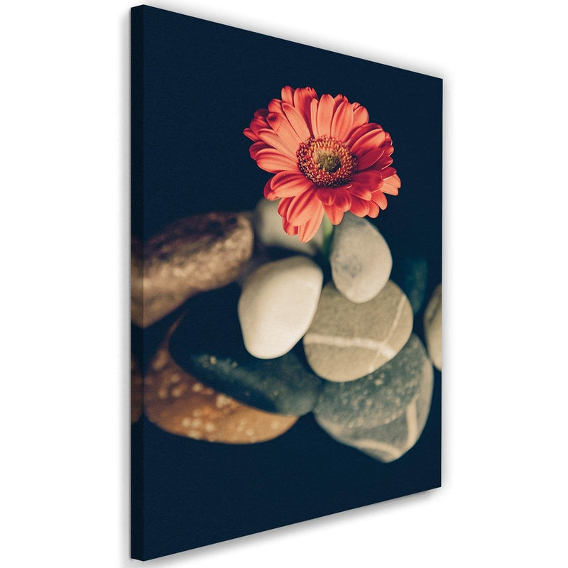 Kanva - Stones And Red Flower  Home Trends DECO