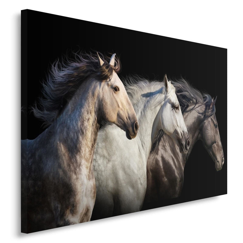 Kanva - Three Horses  Home Trends DECO