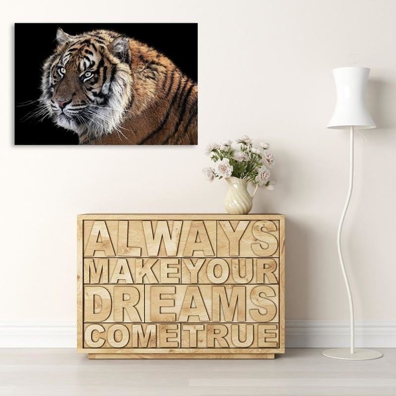 Kanva - Tiger 3  Home Trends DECO