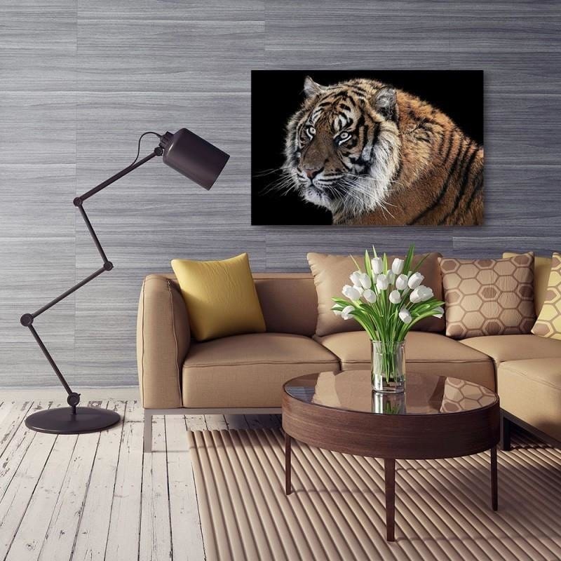 Kanva - Tiger 3  Home Trends DECO