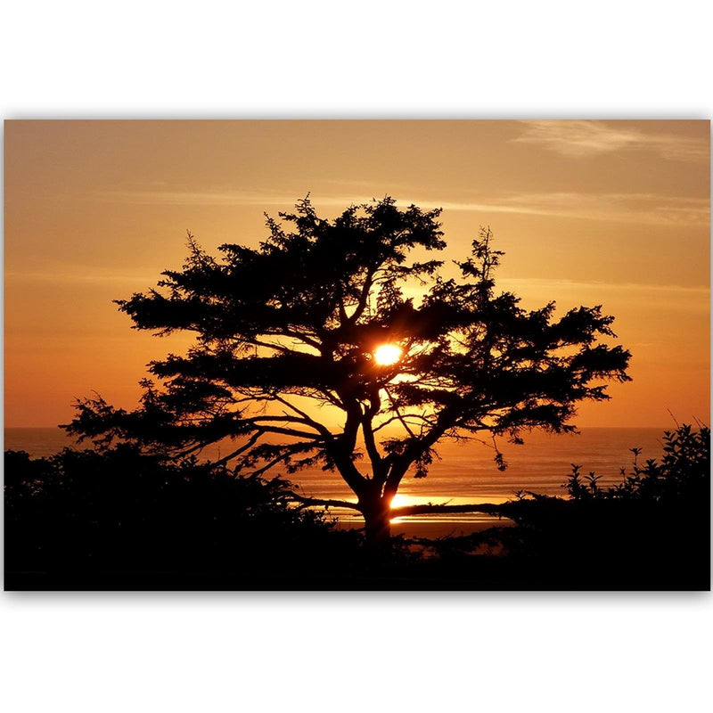 Kanva - Tree By The Sea At Sunset  Home Trends DECO