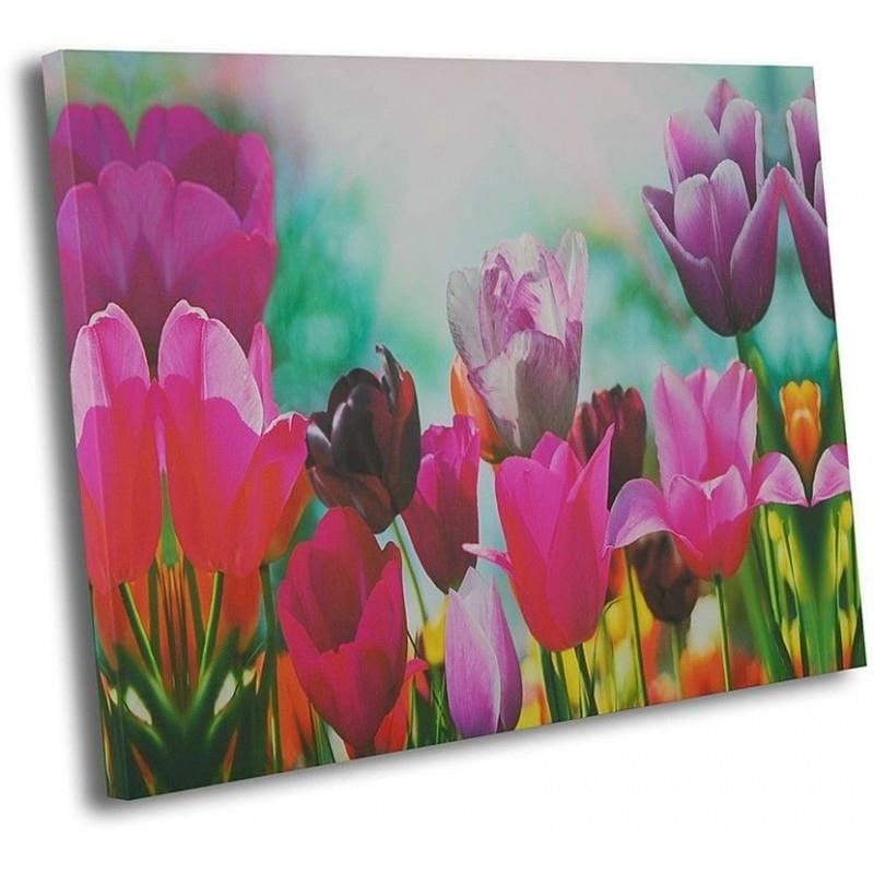 Kanva - Tulips 3  Home Trends DECO