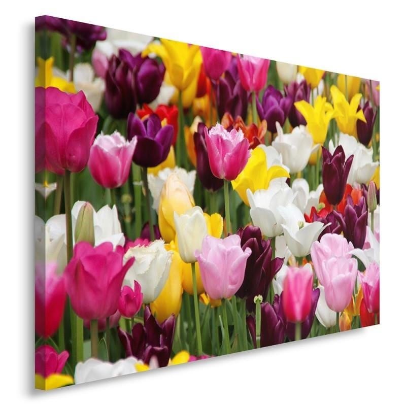 Kanva - Tulips 4  Home Trends DECO