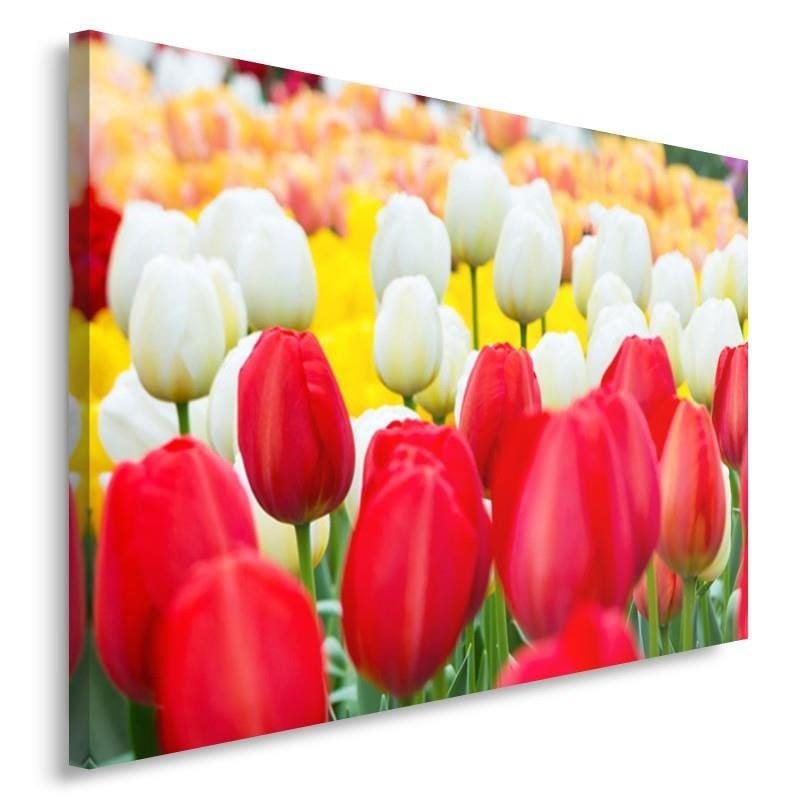 Kanva - Tulips  Home Trends DECO