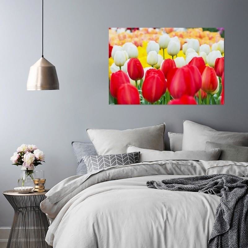 Kanva - Tulips  Home Trends DECO