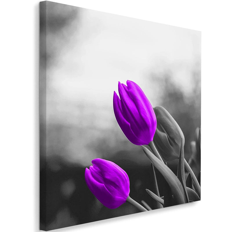 Kanva - Two Purple Tulips  Home Trends DECO