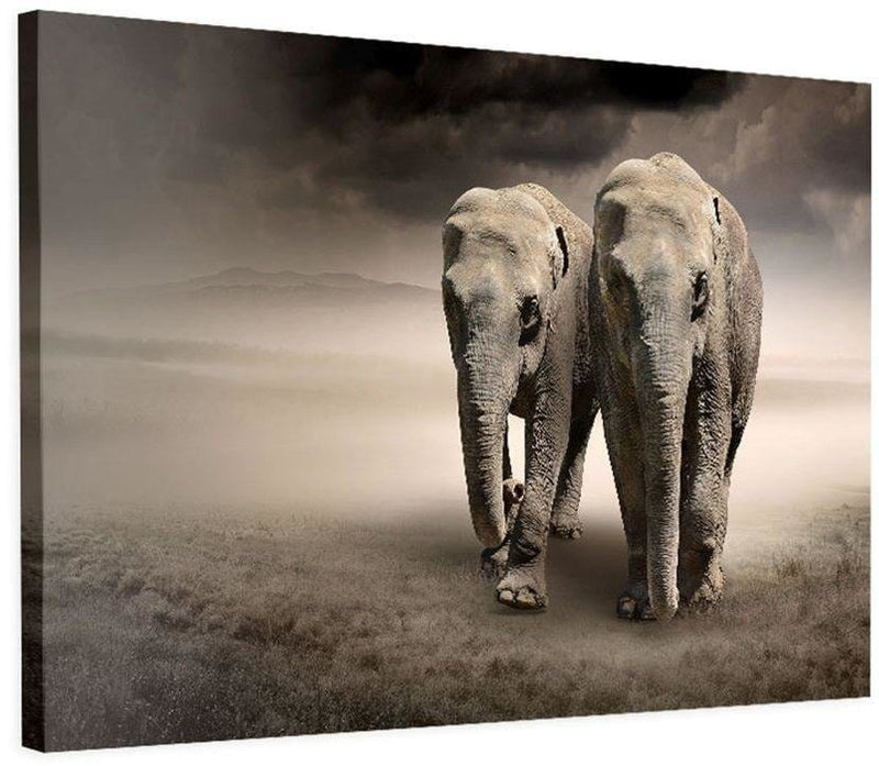 Kanva - Wandering Elephants  Home Trends DECO