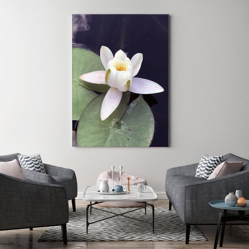 Kanva - Water Lily Flower  Home Trends DECO