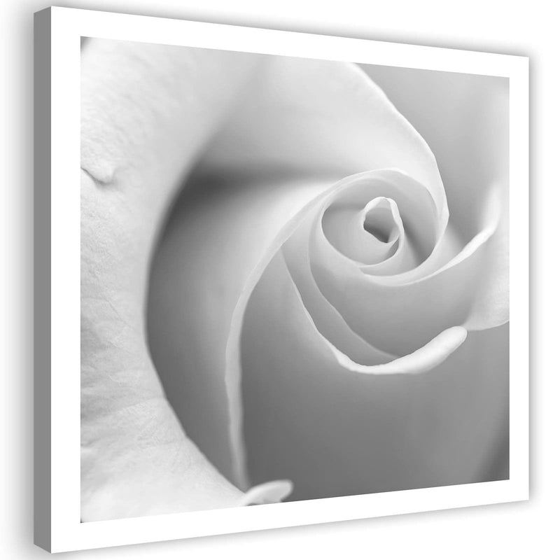 Kanva - White Rose 3  Home Trends DECO