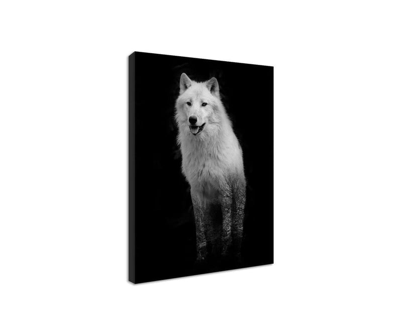 Kanva - White Wolf  Home Trends DECO