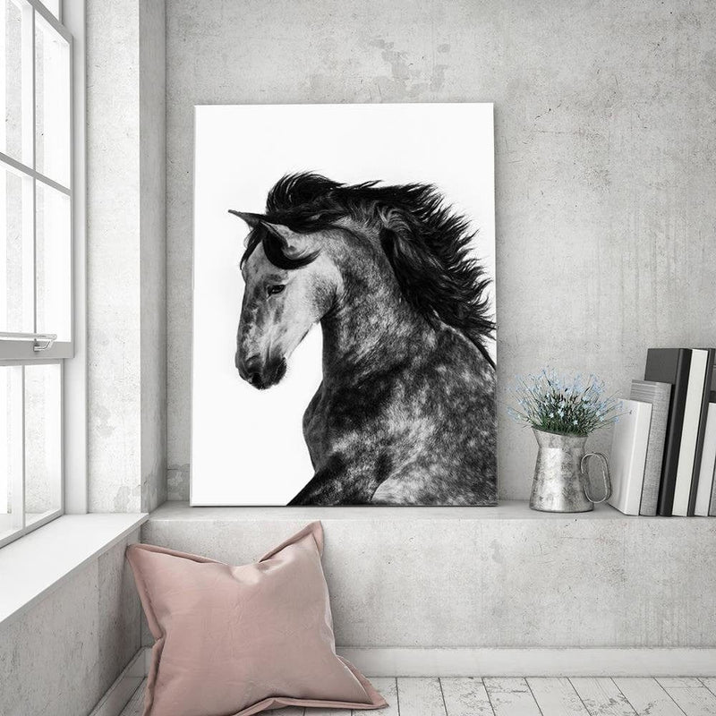 Kanva - Wild Steed  Home Trends DECO