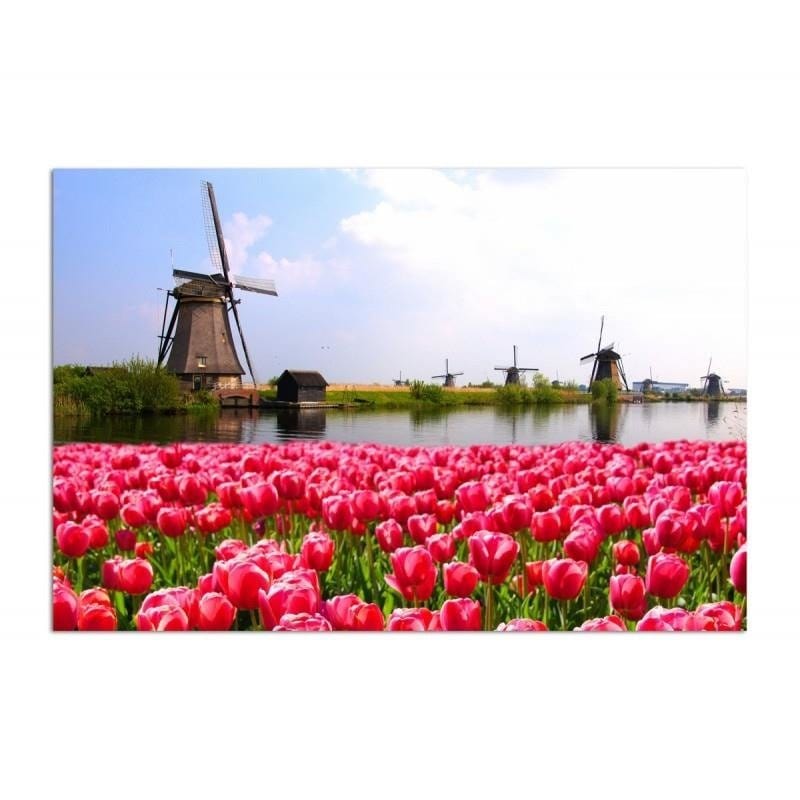 Kanva - Windmills And Tulips  Home Trends DECO