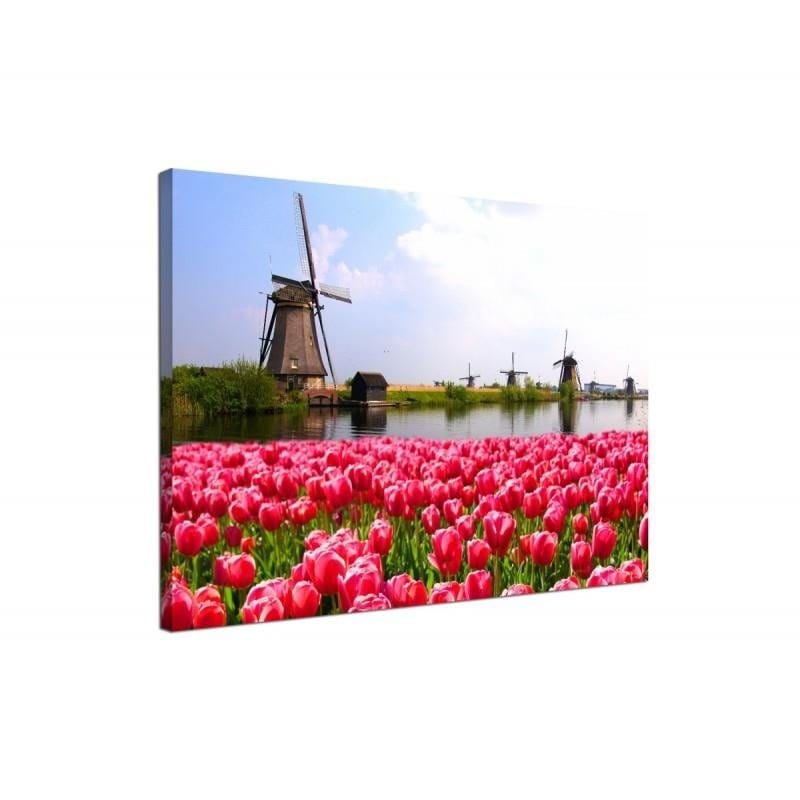 Kanva - Windmills And Tulips  Home Trends DECO