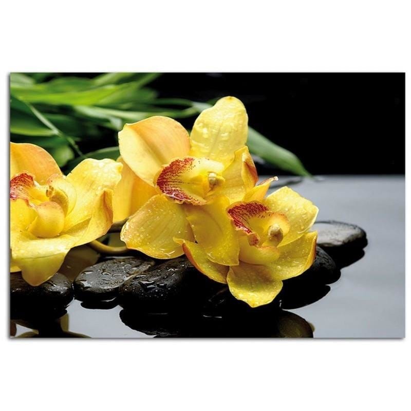 Kanva - Yellow Orchids  Home Trends DECO