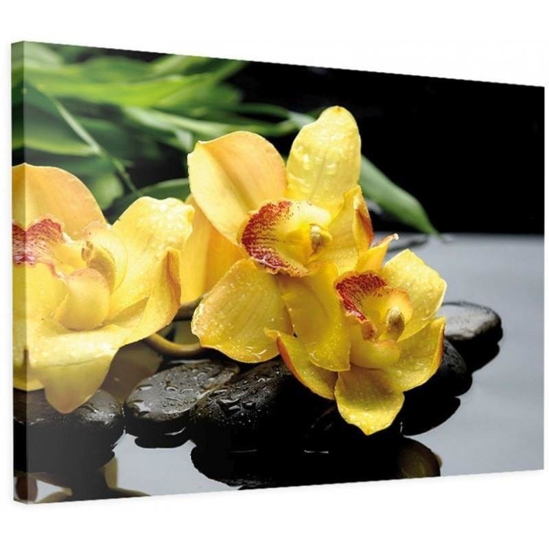 Kanva - Yellow Orchids  Home Trends DECO