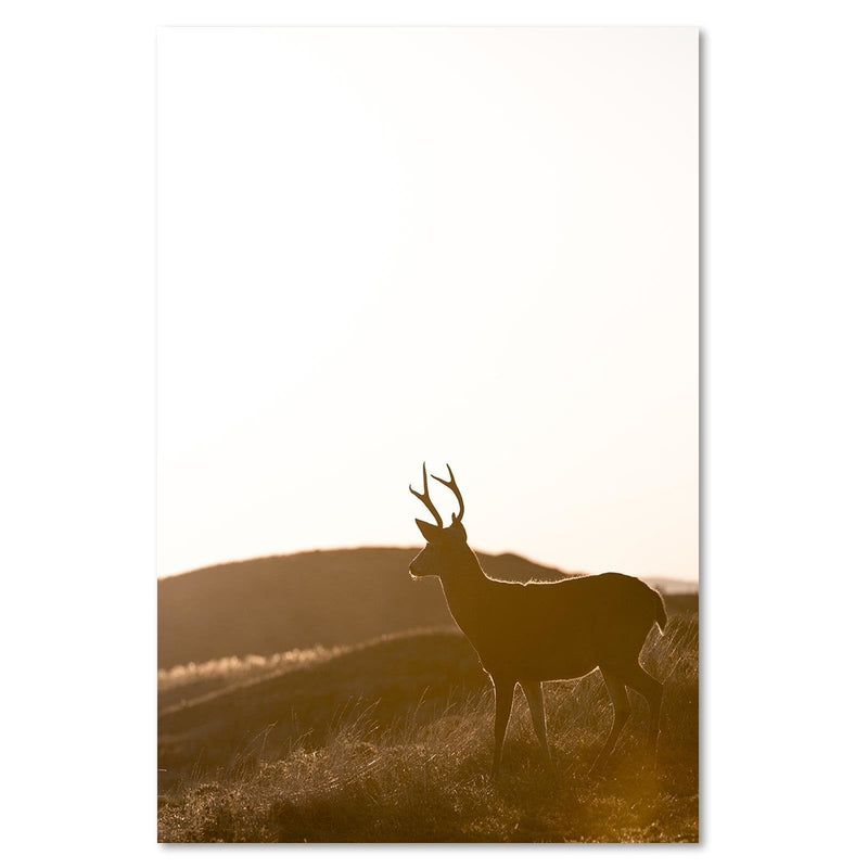 Kanva - Young Deer  Home Trends DECO