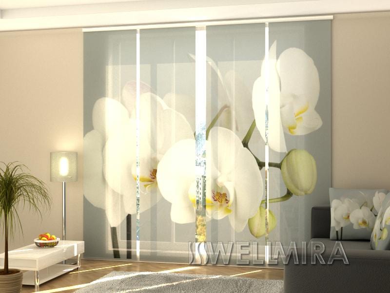 Paneļu aizkari (4 daļas) Curtains Canadian Orchid Home Trends