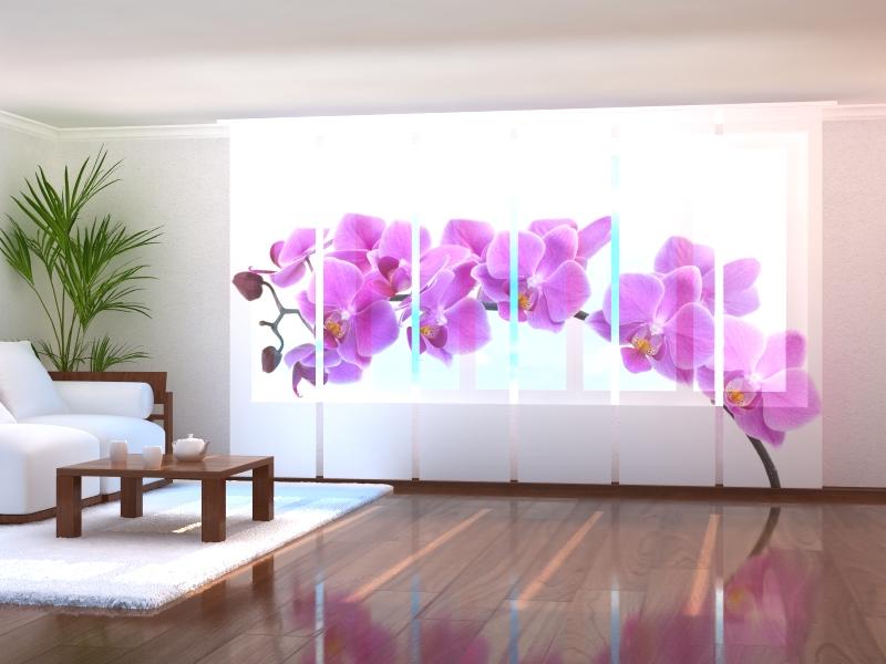 Paneļu aizkari (6 daļas) Big Orchid Home Trends