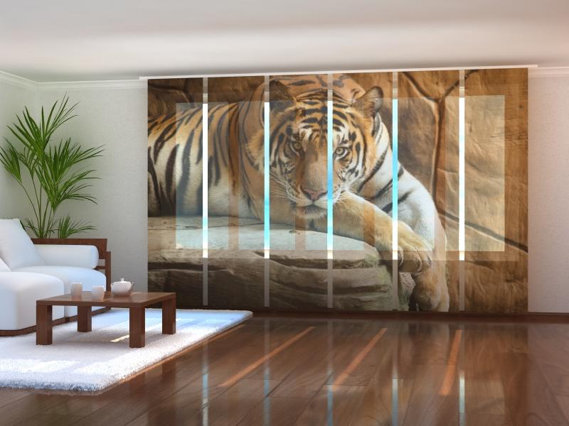 Paneļu aizkari (6 daļas) Tiger on a Rock Home Trends